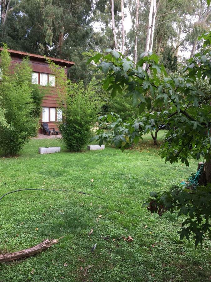 Aire Fresco Lodge *